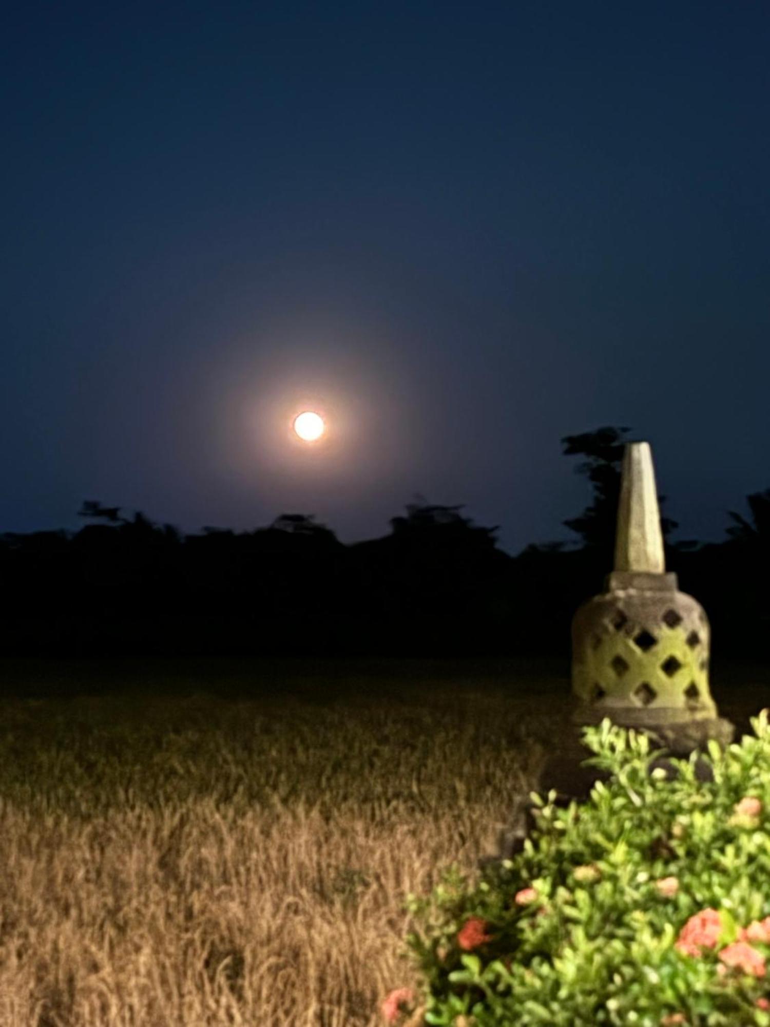 Rumah Dharma ماجلانج المظهر الخارجي الصورة